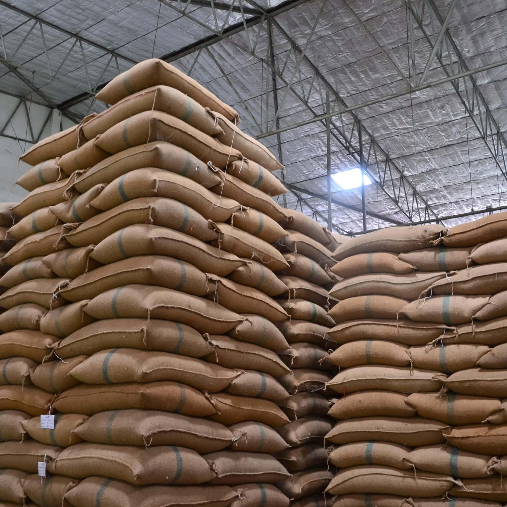 Bangladesh will not place restrictions on seed imports – agriculture minister