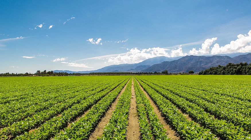 BiOWiSH says its fertilizer enhancer is enjoying global success