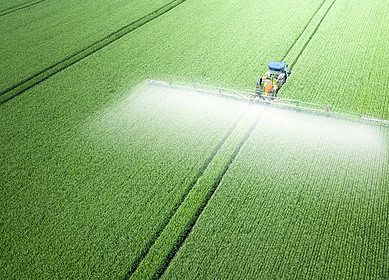 US court bans three dicamba-based herbicides