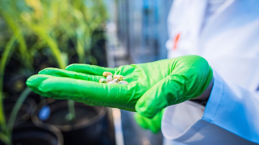 Exclusive: Inari’s Ron Wulfkuhle on super seeds and agricultural sustainability