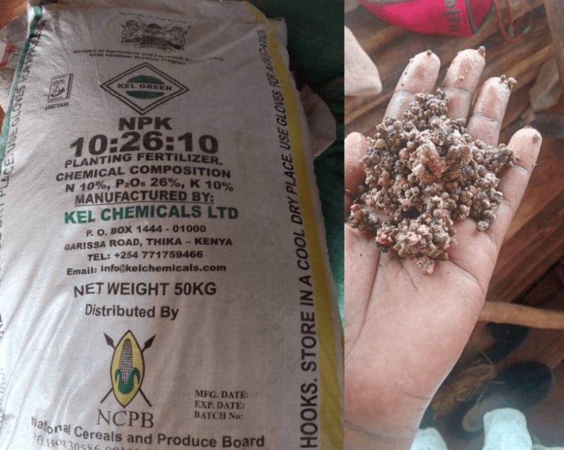 Kenyan President demands compensation for farmers suffered from fake fertilizer
