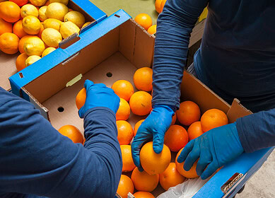 AgroFresh bolsters global reach with acquisition of Pace International