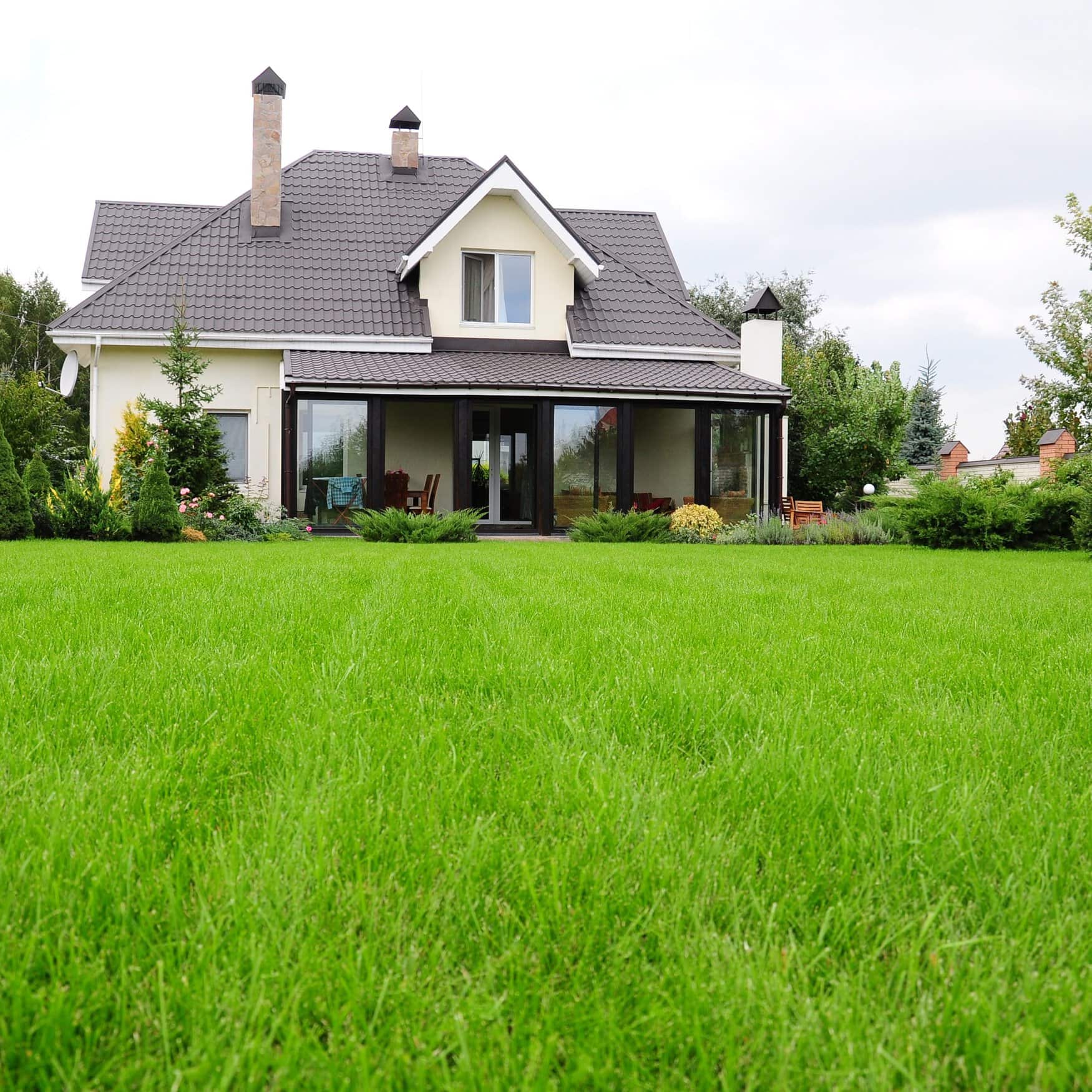 Lawn overseeding can bring the new life to your yard