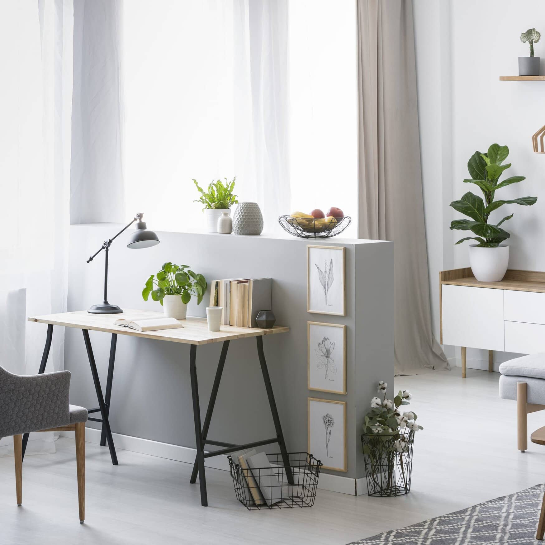 Thriving under fluorescent lights: the best office plants for your desk