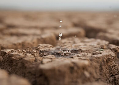 Western farmers turn to technology to overcome aridity and drought