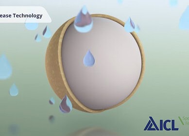 The evolution and impact of controlled-release fertilizer technology in modern agriculture