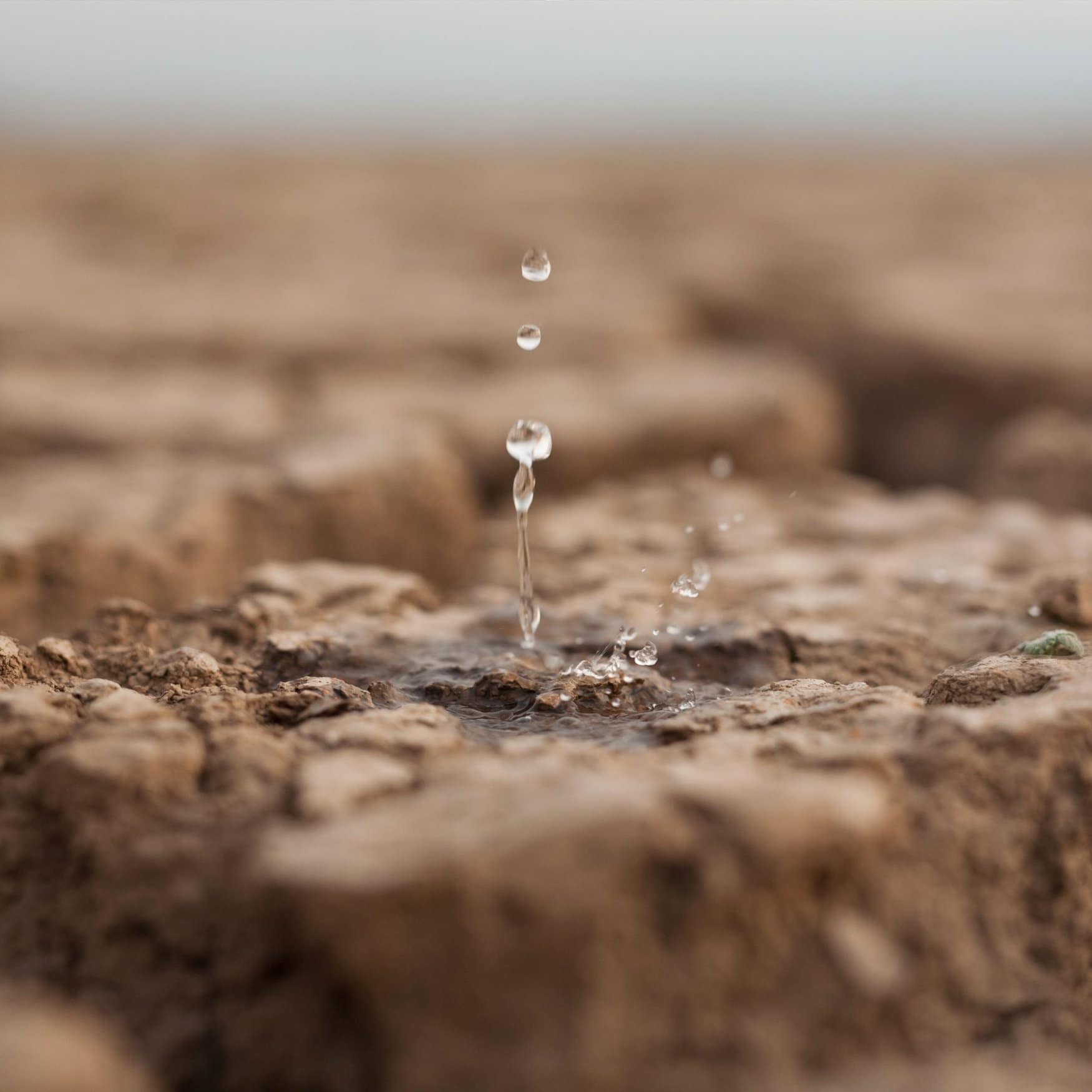 Zimbabwe acknowledges it was not ready for drought caused by El Niño
