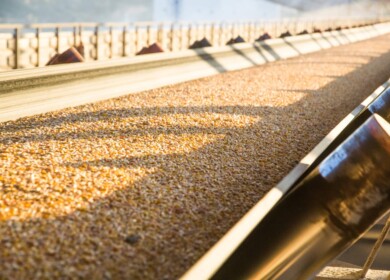 Louis Dreyfus elevators in Russia stopped accepting grain