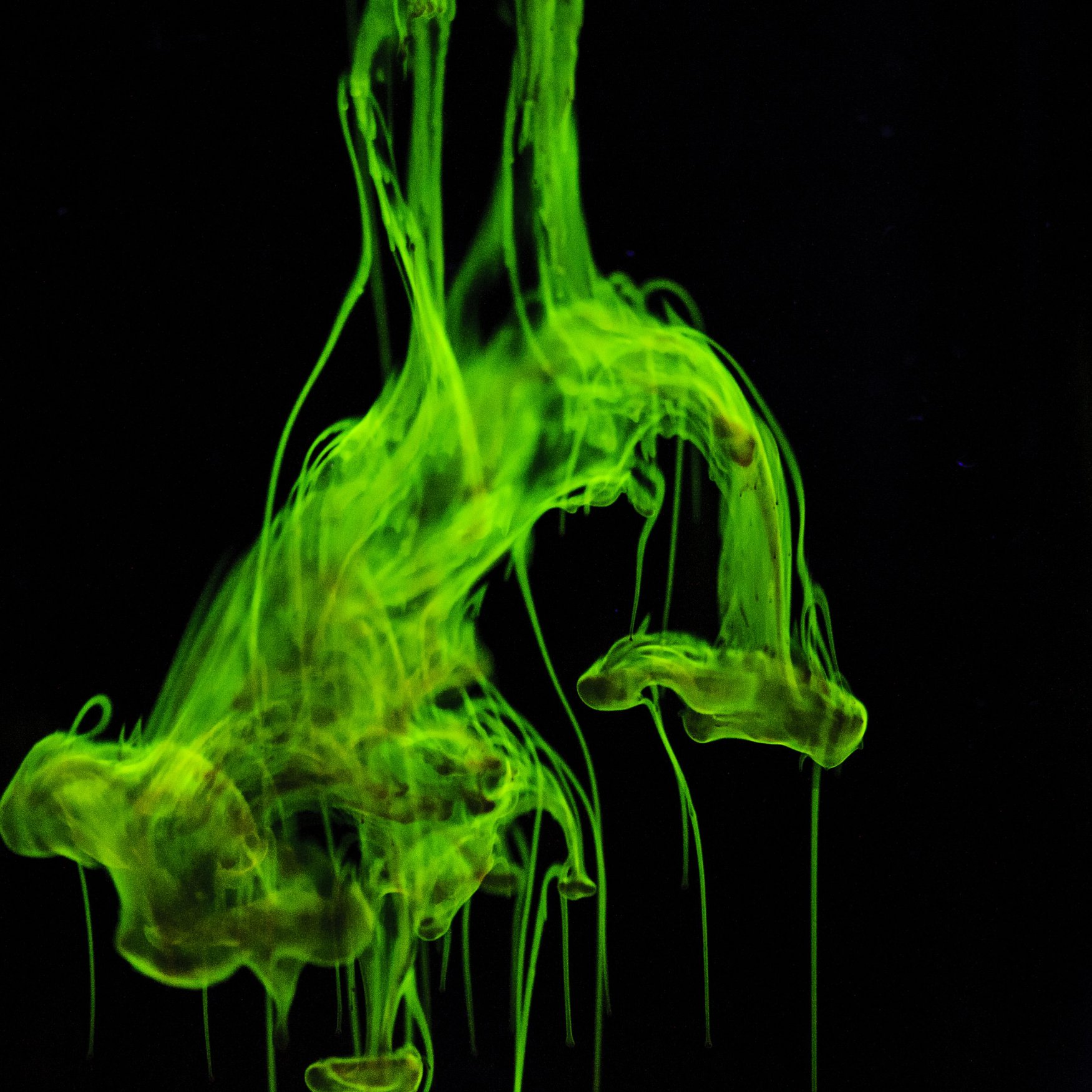 Clariant and KBR expand alliance to advance low-carbon ammonia