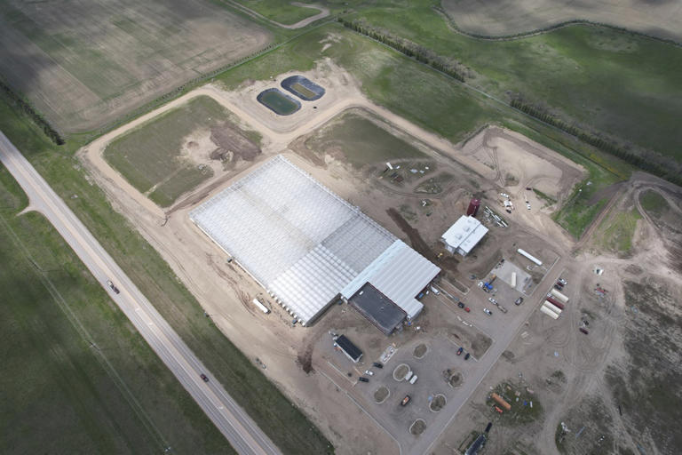 North Dakota tribe launches ambitious greenhouse project