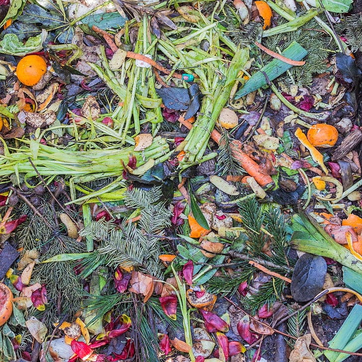 Walmart teams up with Denali to innovate food waste recycling