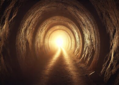 Friday’s Insider: Navigating the challenges of starting a trading house