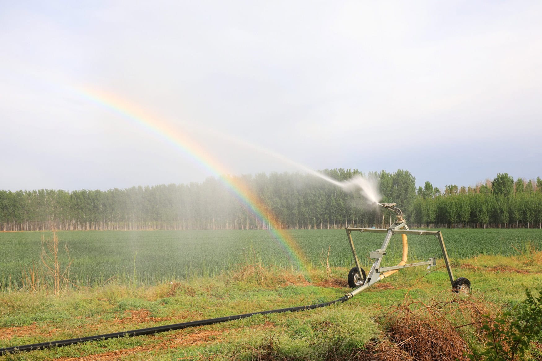 ICL strengthens foothold in China with $170 million AMP Holdings deal