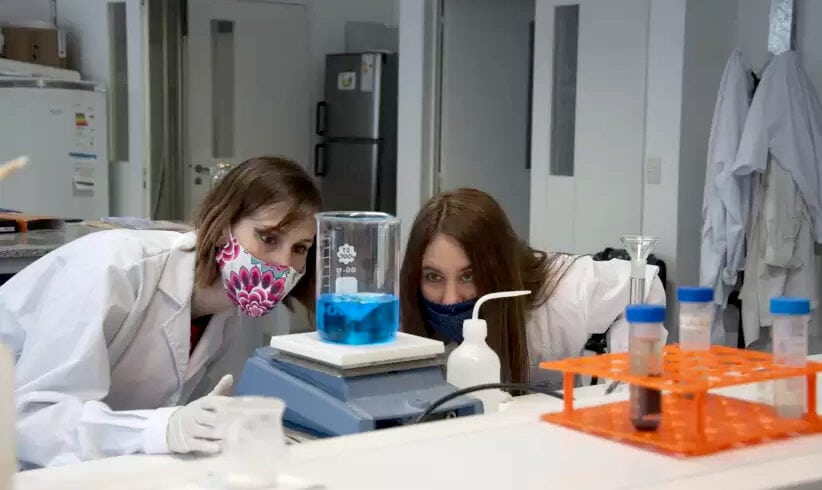 Innovative startup from Argentina taps prawn waste to cut agrochemical use