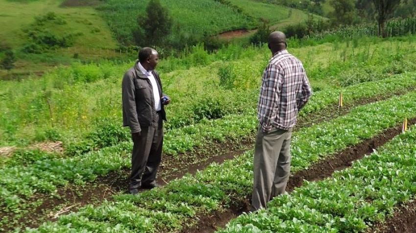 Syngenta launches ‘Climate Smart Project’ in North India