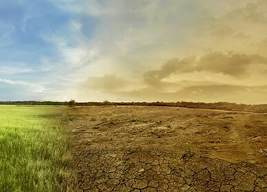 China’s battle against desertification: Innovative approaches and community engagement in Maqu County