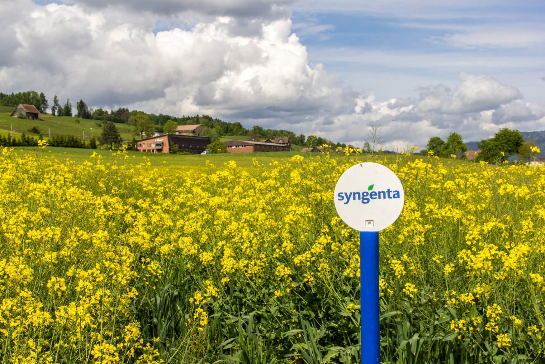 Syngenta reports mixed Q3 2024 financials citing poor weather and challenging market conditions