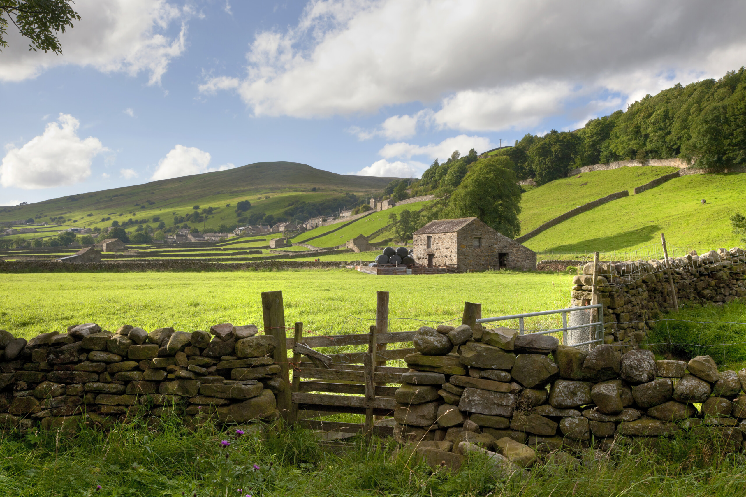 UK banks asked to rethink support for sustainable farming