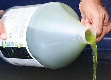 EnSoil Algae and Groundworx propose collaborative sustainable farming solution