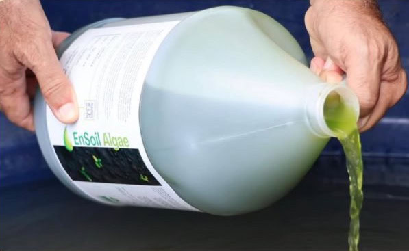 EnSoil Algae and Groundworx propose collaborative sustainable farming solution