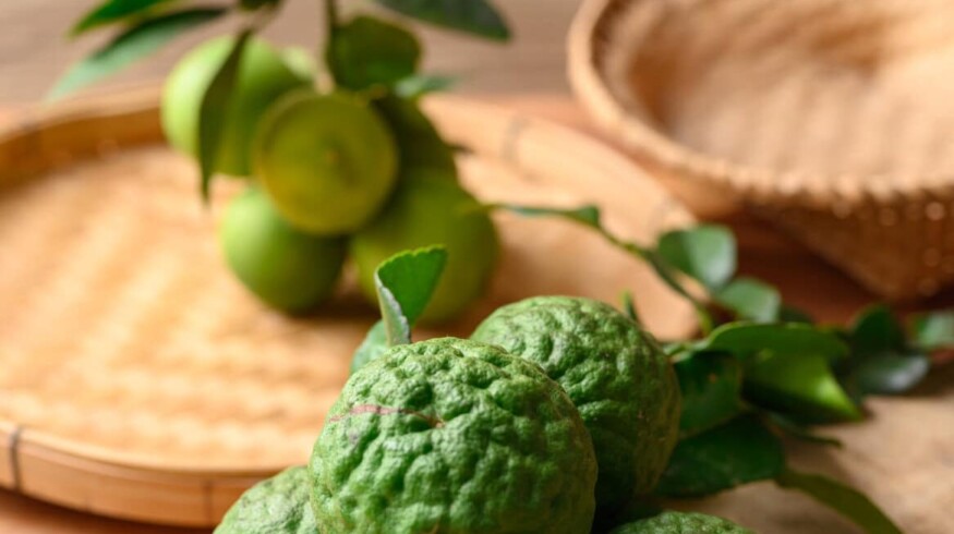 Essential tips for growing kaffir lime leaves at home