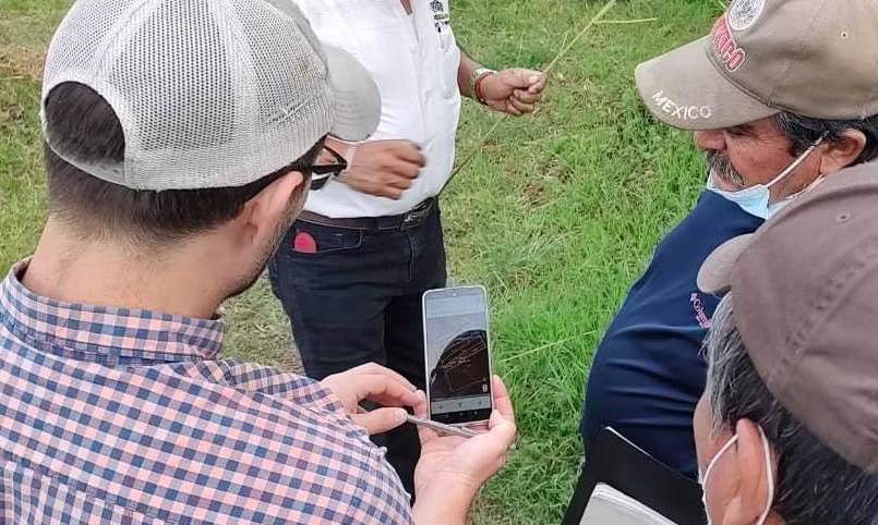 Free LiteFarm app empowers sustainable farming using farmer’s own data