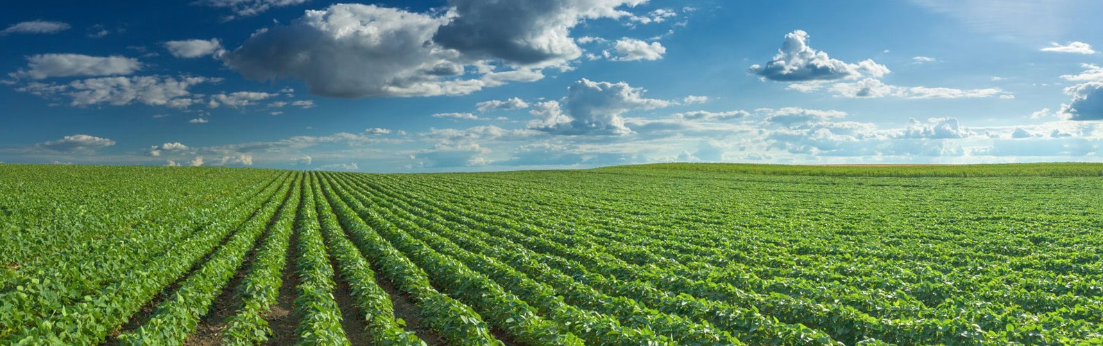 Nufarm announces leadership transition alongside biofuel innovation partnership with bp