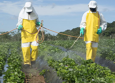 Crystal Crop Protection acquires key herbicide asset from Bayer