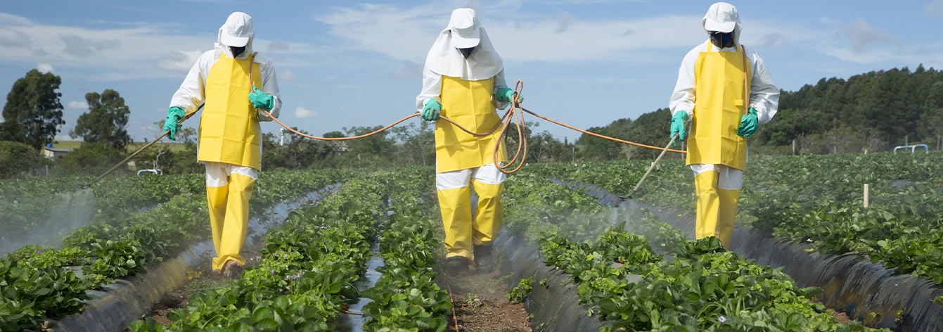 Crystal Crop Protection acquires key herbicide asset from Bayer