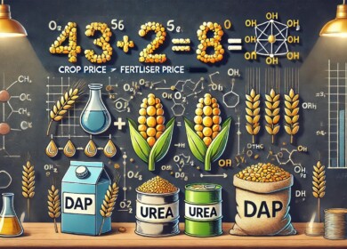 Friday’s Insider: Fertilizer affordability — December update and year-end comparison