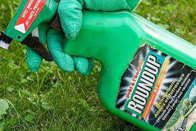 Bayer secures legal win in Australia, shifts focus to U.S. Roundup cases