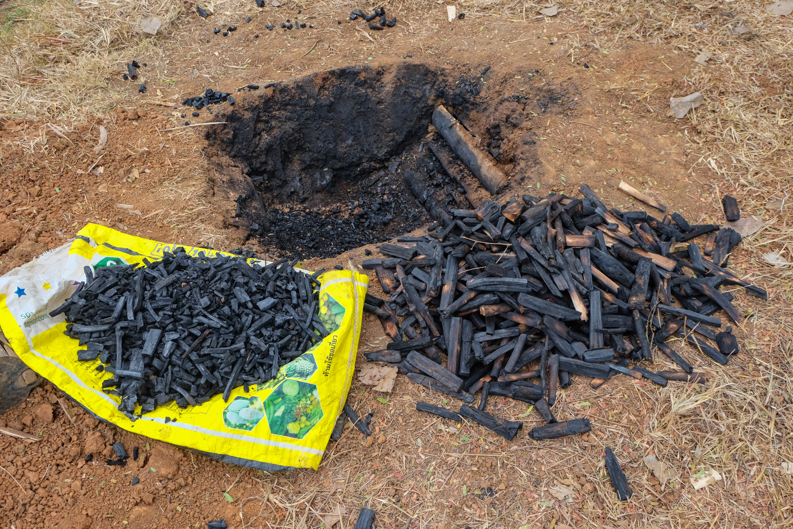 Biochar shown to reduce risks of DDT-contaminated soil