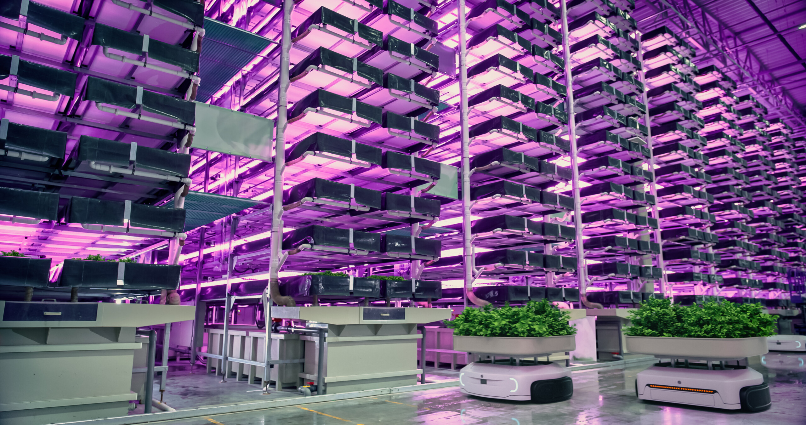 Why vertical farming is not working just yet?
