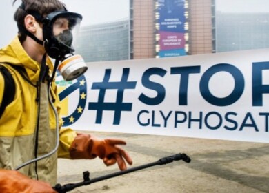 Bayer weighs halting Roundup sales in U.S. over legal risks