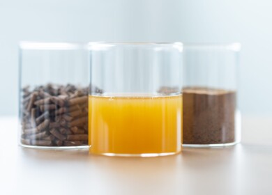 Innovafeed’s Maye Walraven: ‘Hilucia Frass can provide equal or superior fruit and vegetable production compared to conventional fertilizers’