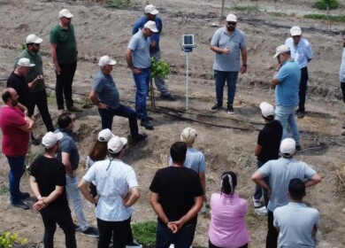 Orbia Netafim and Virridy introduce carbon credit initiative in Turkey