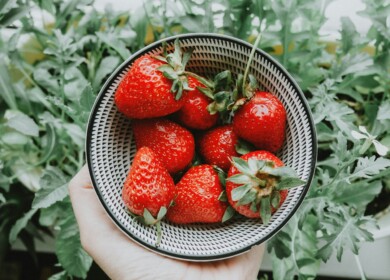 Ohalo partners with industry leaders to accelerate strawberry breeding