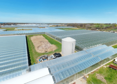 Harmoniz Seeds opens Canadian facility to localize vegetable breeding