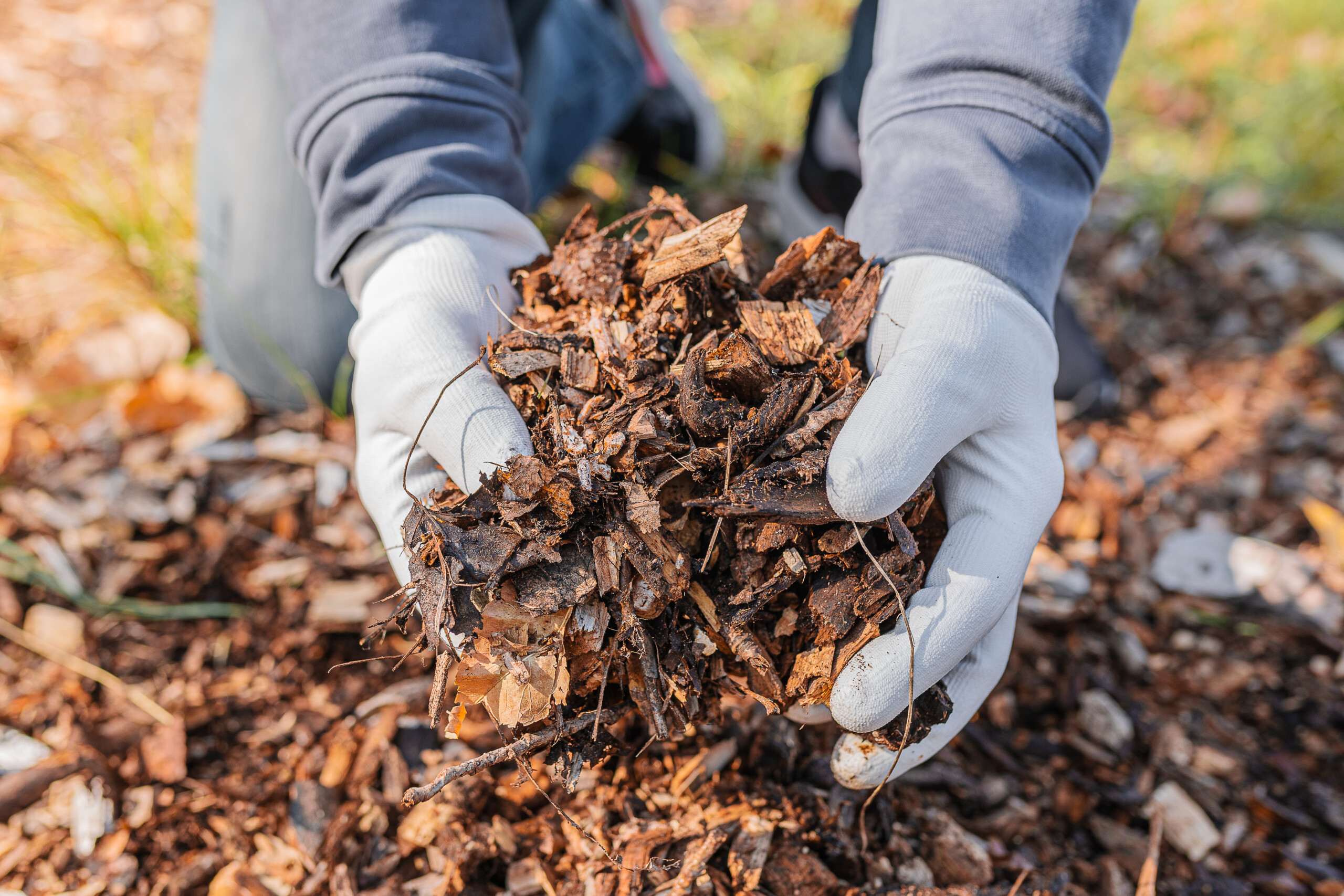 Researchers discovered compost and biochar could enhance carbon capture potential