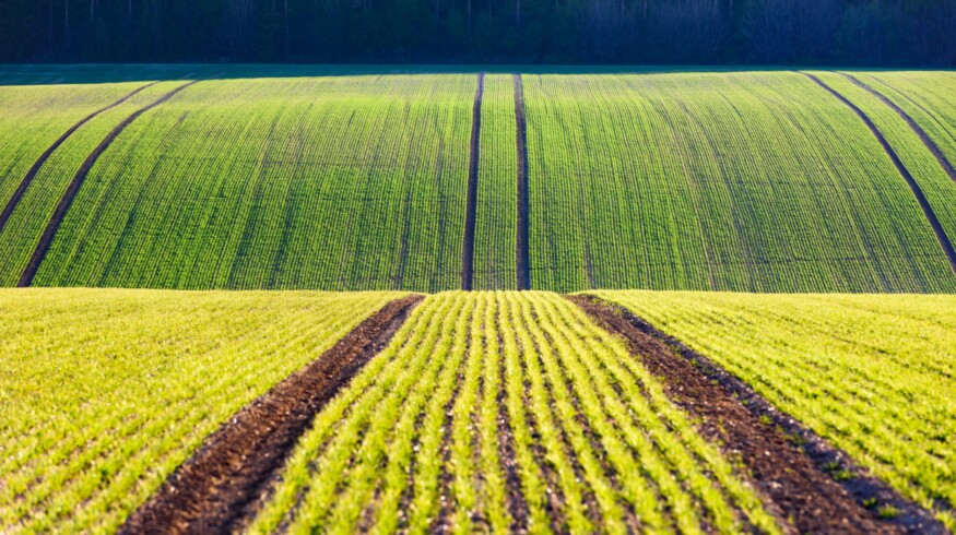 CPDA says MAHA report mischaracterizes pesticide safety and risks food affordability