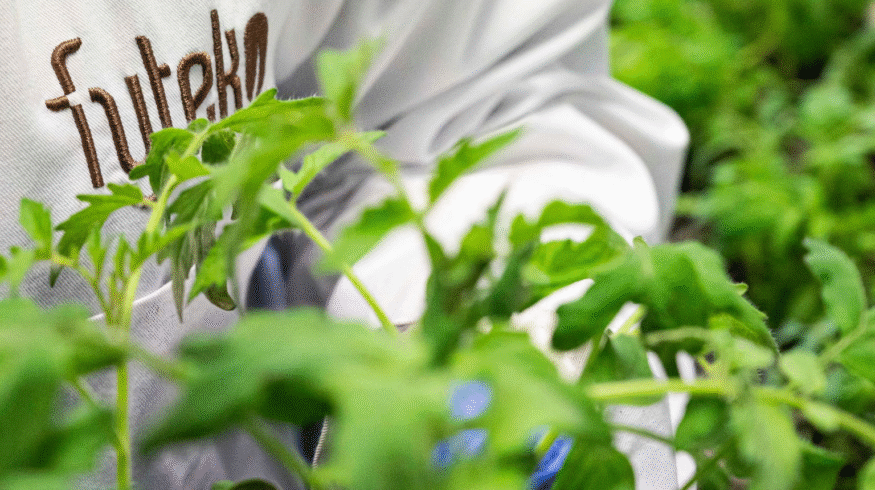 Fyteko expands in Latin America through distribution deal with Point Group