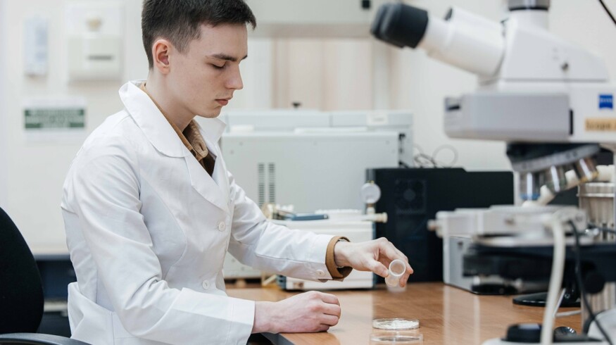 Tomsk Polytechnic develops halloysite-based nanofertilizer that boosts plant growth