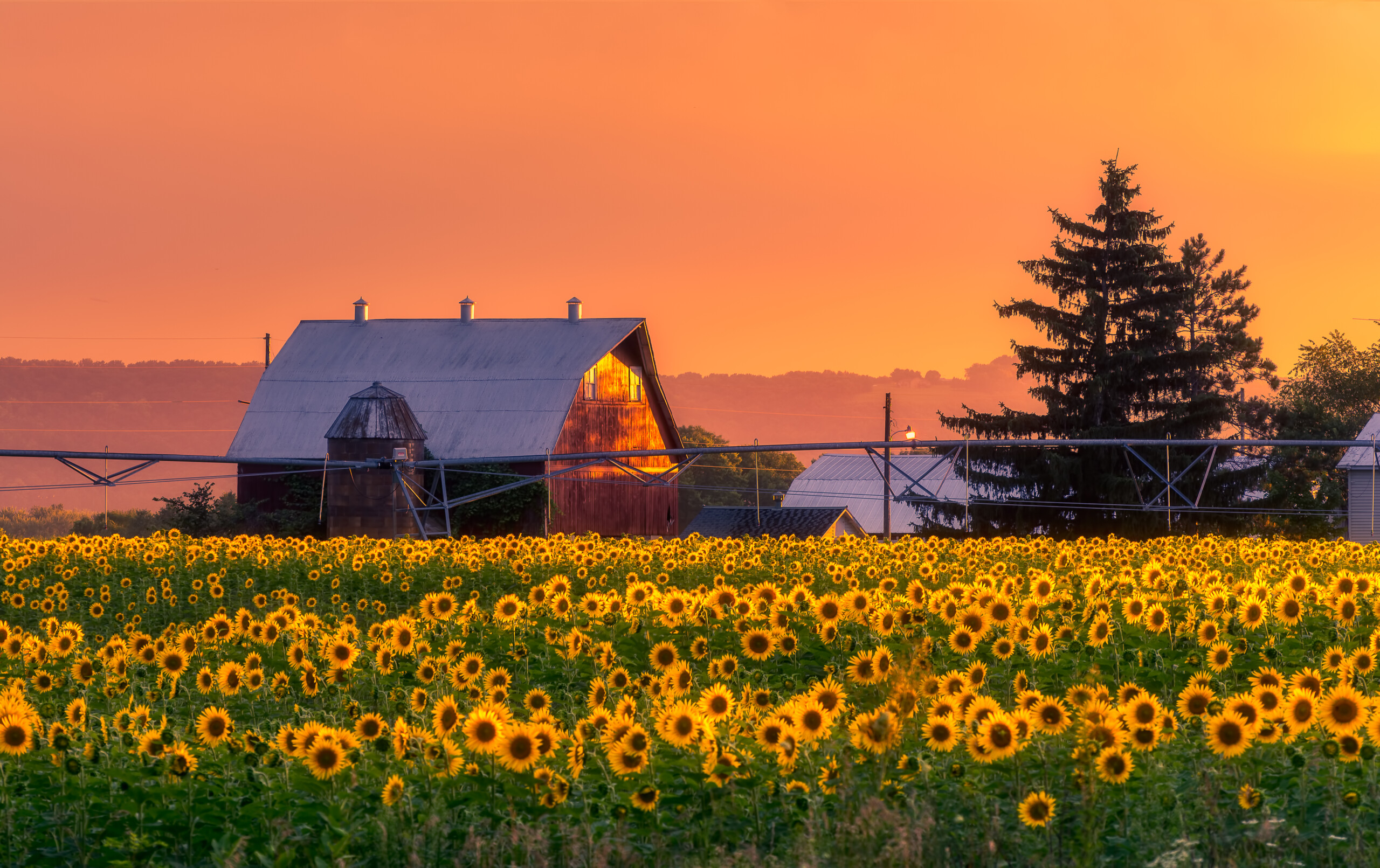 Farm succession becomes more complex amid aging demographics and high entry costs