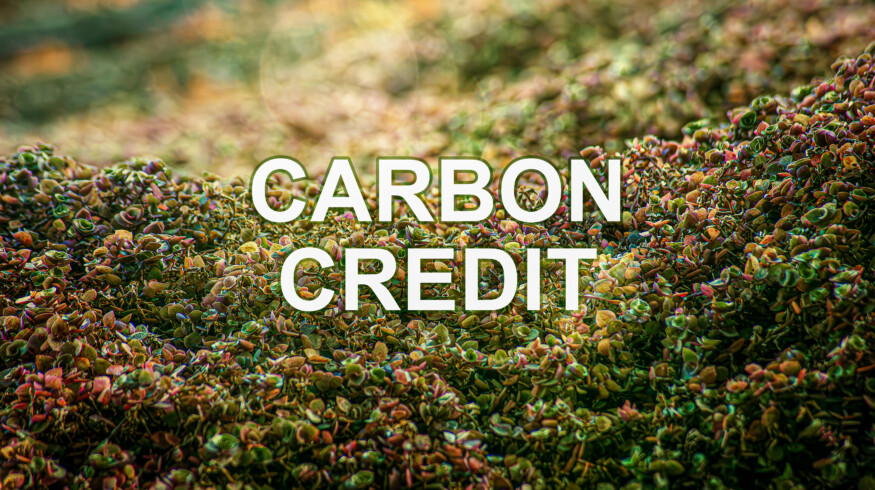 Microsoft signs 12-year deal with Agoro Carbon for 2.6 million soil carbon credits