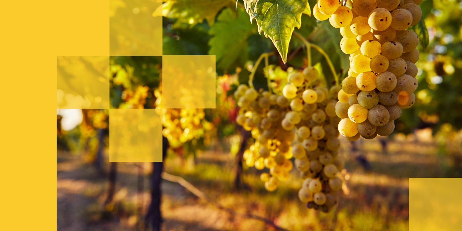 US Agriculture partners with CeresAI to bring AI oversight to farmland portfolio