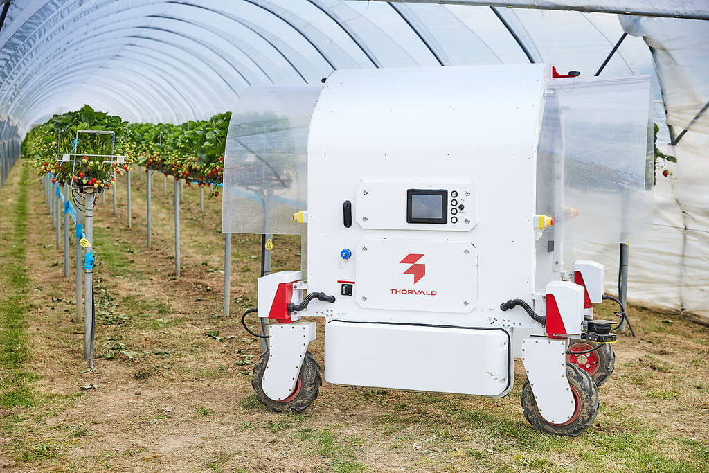 Saga Robotics, Bitwise Agronomy and Chambers Farm partner to enhance strawberry yield forecasts