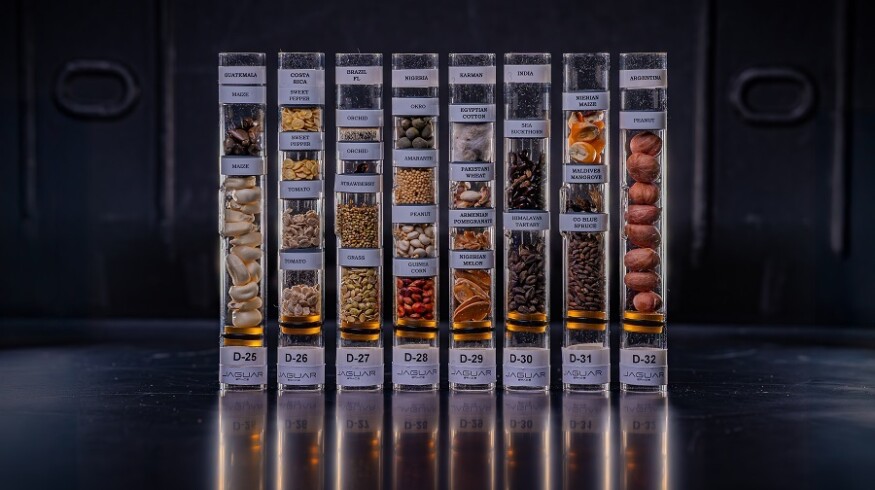 Brazil sends seeds to International Space Station for agricultural research