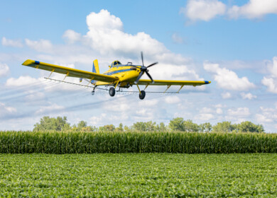 EPA reconsiders dicamba herbicide despite drift and resistance concerns