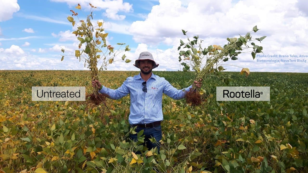 Groundwork BioAg names Alon Werber CEO as co-founder Yossi Kofman becomes chairman