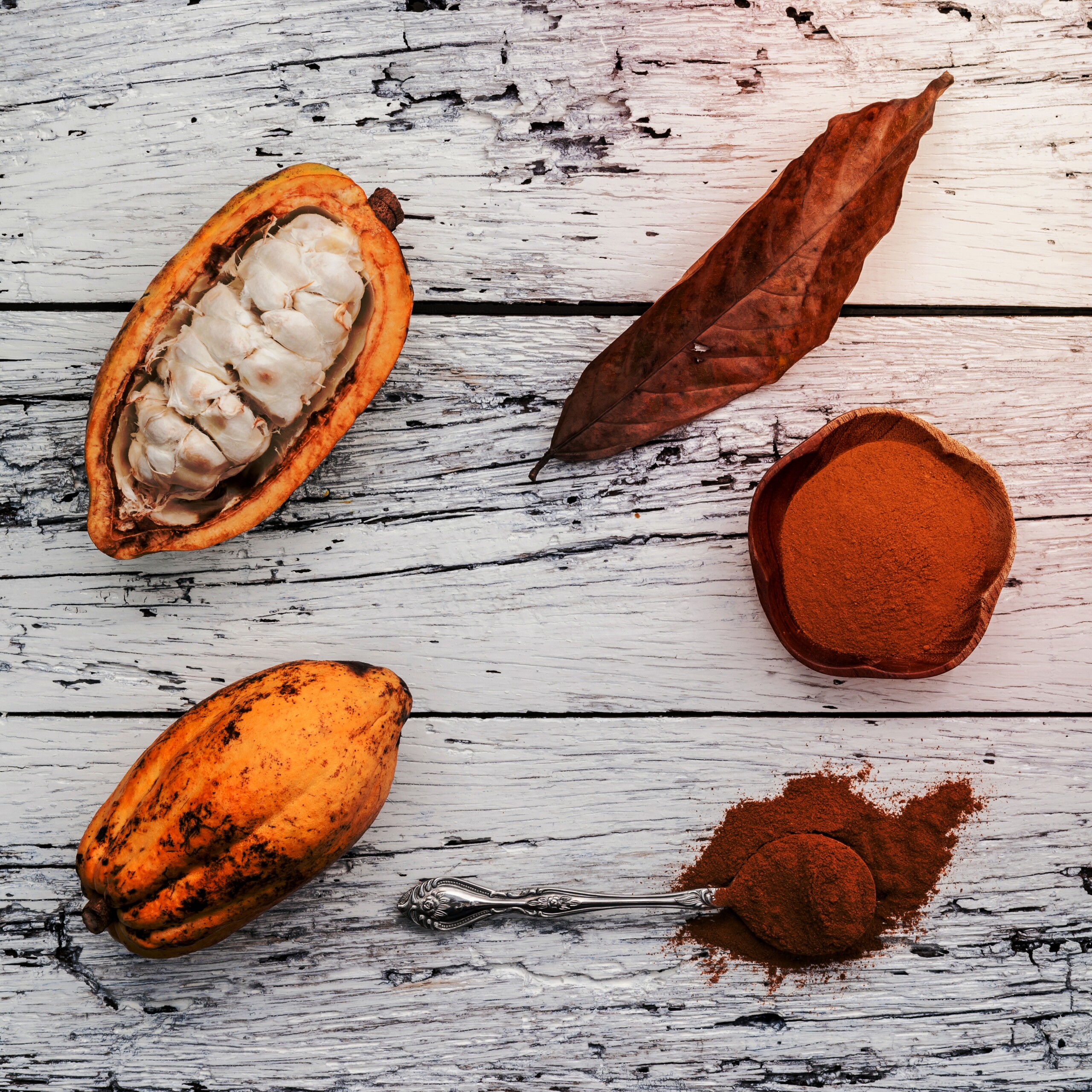 Mars licenses Pairwise’s CRISPR platform to advance cacao R&D